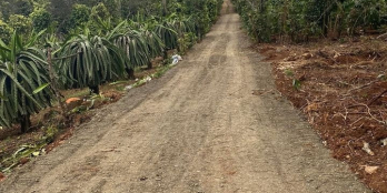 Vị trí: cách đường 10/3 300m. Cách ngân hàng Kiên Long 1,7km