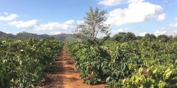 Bán lô đất đỏ 8,4 sào gần ngã tư Tâm Bộ thuộc khu dân cư Phú Đức - Buôn Trấp