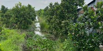 Mặt tiền đường 4m cách lộ nhựa 861 khoảng 300m tại xã Mỹ Trung, Cái Bè