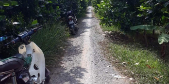 Bán 6 công đất xã Thiện Trung huyện Cái Bè tỉnh Tiền Giang