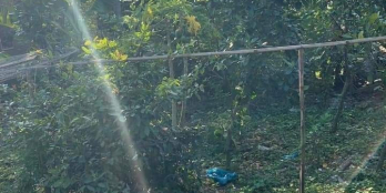 Bán 912.2mv đất nền ấp Mỹ Chánh 4, Hậu Mỹ Bắc A, Cái Bè, Tiền Giang