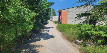 Bán nền 6.5x48m Gần chợ , trường học Hậu Thành đất cây lâu năm