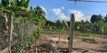 Ra 4 nền phường Nhị Mỹ Ngang 5m dài 40m đã san lă