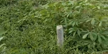 Đất mặt tièn Đường Nguyễn Văn Tạo Khu phố mỹ an,phường nhị mỹ,thị xã cai lậy