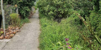 Cần bán 02 nền liền kề gần trạm thu phí tuyến tránh TX Cai Lậy