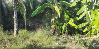 Mặt tiên đường B2 (Châu Thế Bình) đoạn phường Nhị Mỹ thị xã Cai Lậy