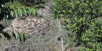 Gia đình đang cần bán hơn 7 công đất ở ấp Bình Thạnh xã Bình Phú