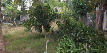 Chính Chủ Gửi Bán Gấp Nền Đất Ấp 4 xã Phú An Cai Lây TG