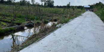 Đất CLN Cai Lậy giá tốt đường đan vào đất 4m