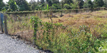 Nền đất ấp Phú Thuận xã Long Khánh mặt tiền đường đá xanh 4m