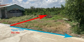 Đất 100mv cần bán Bình Phú Cai Lậy