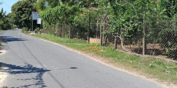 Đất bán Quý Chánh Nhị Quý.TXCL,TG Đất cây lâu năm lên thổ cư thoải mái