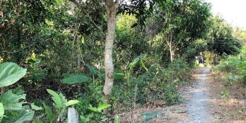 Cần bán nền đôi đối diện đường Ông Cả Mỹ Tân TP. CL ĐT