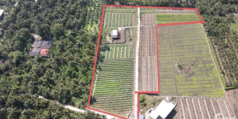 Bán đất vườn diện tích lớn cách Quốc Lộ 1A chỉ 700m giá tốt