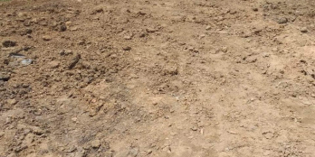 A trai gửi bán 649,8m2 đất CLN ấp 5,xã Tam Hiệp, Châu Thành, Tiền Giang