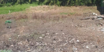 Cần bán miếng đất đep Nhị Bình GIÁ TỐT