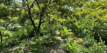 Cần bán 1800m2 Tây Hoà xã Song Thuận