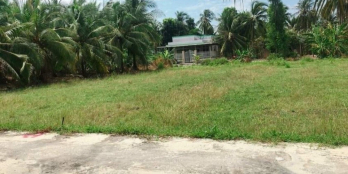 Bán đất Bình Ninh, Chợ Gạo 922mv đường bê tông 3m