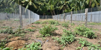 ĐẤT ĐẸP ẤP LONG HÒA- XÃ HÒA ĐỊNH - CHỢ GẠO  GIÁ TỐT