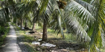 Đất đẹp tại Hòa Phú, Bình Ninh, Chợ Gạo