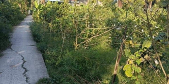 Cần bán gấp lô đất thuộc ấp điền Lợi xã long Bình Điền chợ Gạo