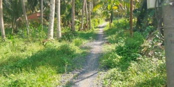 Bán đất đường ba gác ,MỞ RỘNG Ô TÔ TỚI ĐẤT Bình Hòa Long Bình điền chợ gạo