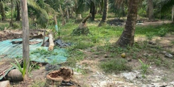 Cần bán đất Tân Ninh, Xuân Đông Chợ Gao giá tốt