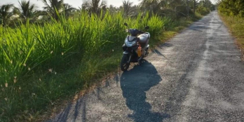 Đất bán ấp Hòa Mỹ xã bình ninh huyện chợ gạo tiền giang