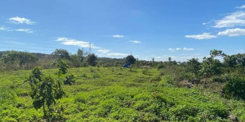 Đất sào view hồ và cây ăn trái  9,3 Sào