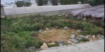 Bán lô đất sổ riêng nông nghiệp tại P8 giá rẻ