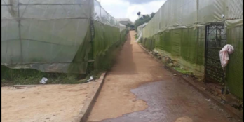 Chỉ 1tỷ250 triệu có ngay lô đất nông nghiệp, đà lạt