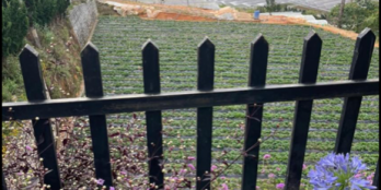 Chủ kẹt tiền cần bán gấp 600m2 đất Nông Nghiệp Giá 14,5tr/m2