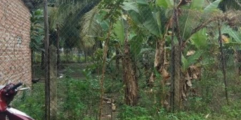 Bán gấp lô đất làm vườn Diên Hoà, đường bêtông rộng 3,5m