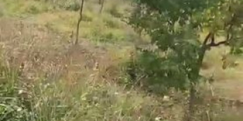 Cần bán nhanh ô đất trục đường An Sinh - Đông Triều