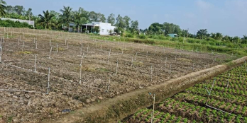 Đất bán mặt tiền 50x45 đan 3m bờ kinh, tân đông ,gcđ