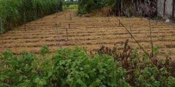 Chính chủ gửi bán lô đất mặt tiền đường 4m Phú Quới, Yên Luông, Gò Công Tây