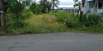 Đất nền mặt tỉnh lộ 877 ấp An ninh xã vĩnh hựu gò công tây tiền giang