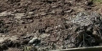 Đất nền Khu phố 5,thị trấn Vĩnh Bình-Gò Công Tây đường xe ba gác