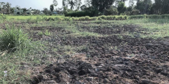 Đất nền gò công Tây Đường Long Hải Ấp Hòa Phú Long Bình