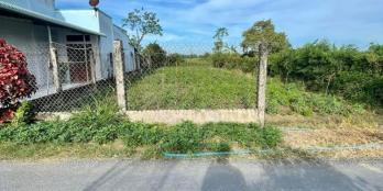 Đất mặt tiền đường nhựa phía trước có cả một dòng sông đầy Hoa Sen & Bông Súng