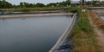 Cần bán 8000mv đất đầm đang nuôi tôm ấp 3, xã Bình Xuân, TX Gò Công, Tiền Giang