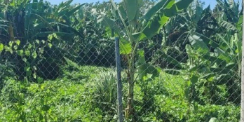 Bán đất mặt tiền đường Trần Công Tường ấp Long Hưng xã Long Chánh thị xã Gò Công