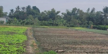 Đất mặt tiền sơn quy A xã Tân Trung. Thị xã Gò Công