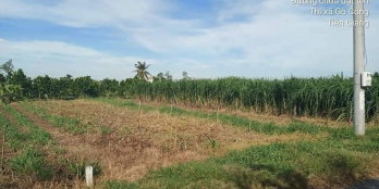 Bán đất mặt tiền ở ấp Long Phước xã Long Chánh Thị xã Gò Công GIÁ TỐT