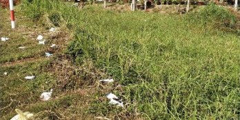 BÁN ĐẤT MẶT TIỀN-Gò Công Tiềng Giang