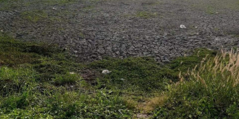 Đất bán Ấp Long Mỹ, xã Long chánh, thị xã Gò Công