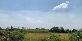 Đất Đá Trắng Thống Nhất, view cánh đồng thoáng mát