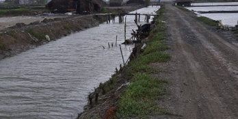 Bán lô đất xã Lý Nhơn huyện Cần Giờ giá tốt