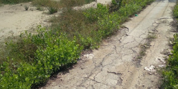 Bình Khánh 1000m ngang mặt tiền 50m sâu 20m.