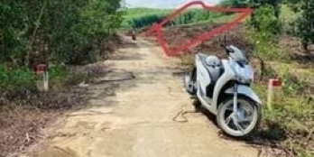 Chính chủ cần bán gấp lô đất Khánh Vĩnh. Diện tích : 2000m